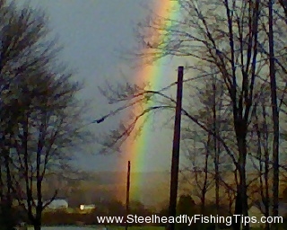 steelheadflyfishingtips.com_rainbow3